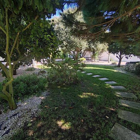 Quinta Camargue Bed & Breakfast Cela Velha Exterior foto