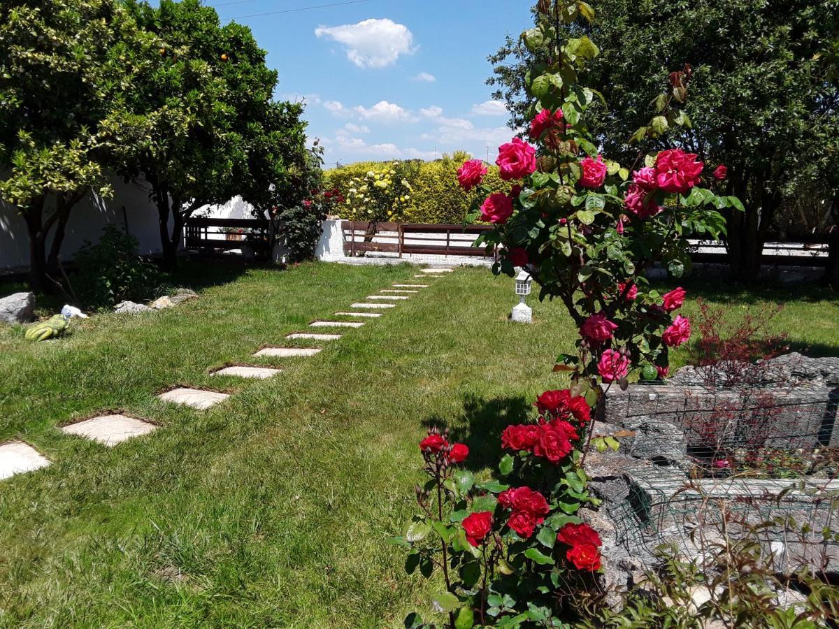 Quinta Camargue Bed & Breakfast Cela Velha Exterior foto