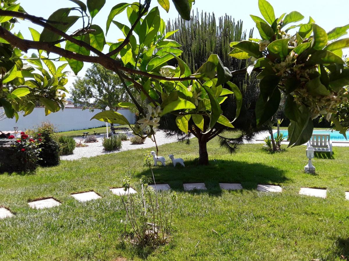 Quinta Camargue Bed & Breakfast Cela Velha Exterior foto