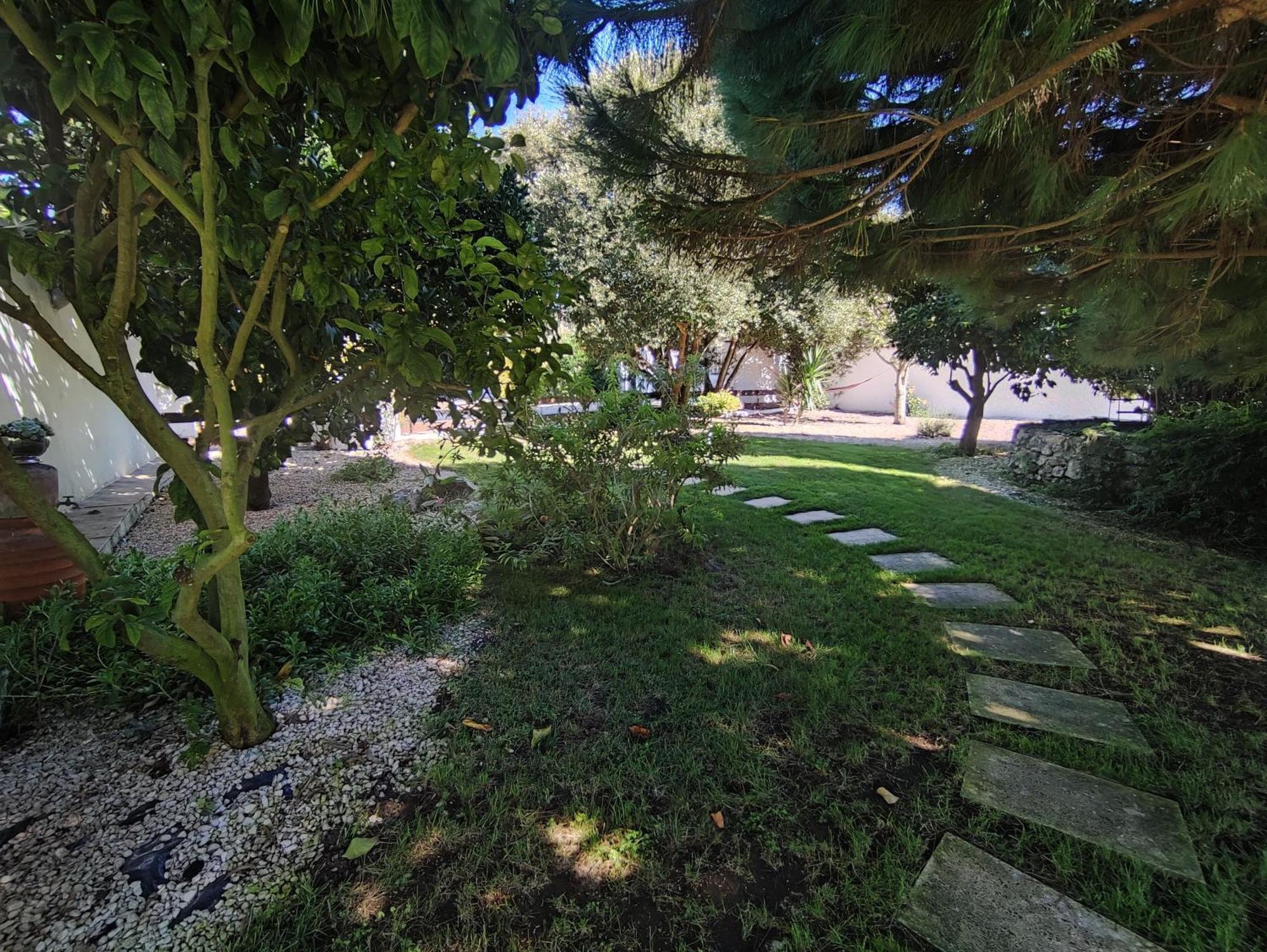 Quinta Camargue Bed & Breakfast Cela Velha Exterior foto